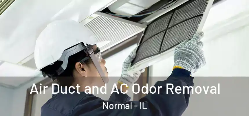  Air Duct and AC Odor Removal Normal - IL