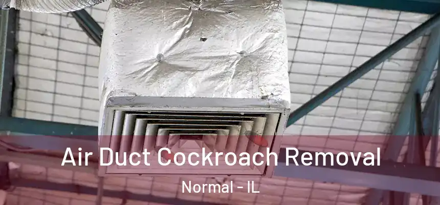 Air Duct Cockroach Removal Normal - IL