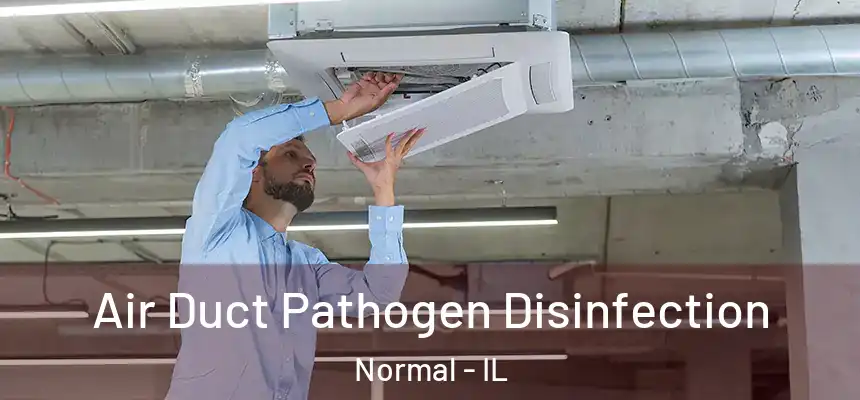  Air Duct Pathogen Disinfection Normal - IL
