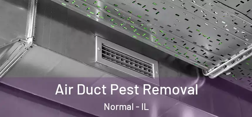  Air Duct Pest Removal Normal - IL