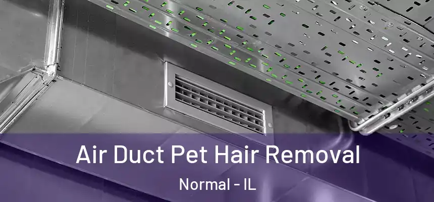 Air Duct Pet Hair Removal Normal - IL