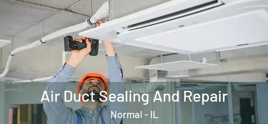 Air Duct Sealing And Repair Normal - IL