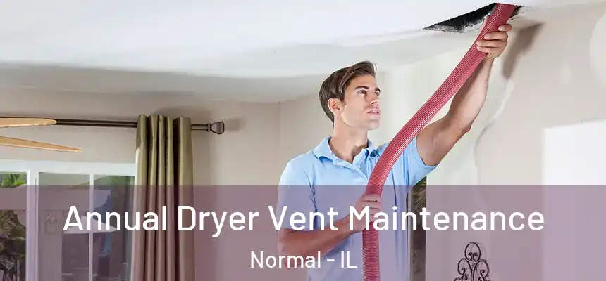 Annual Dryer Vent Maintenance Normal - IL