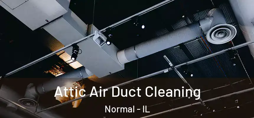 Attic Air Duct Cleaning Normal - IL