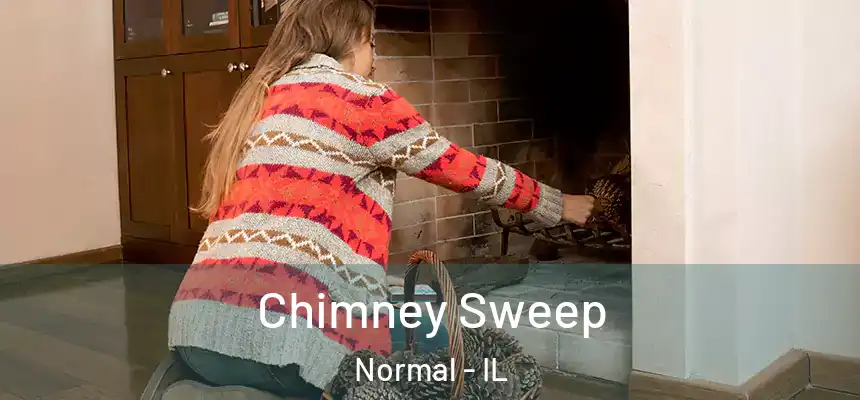  Chimney Sweep Normal - IL