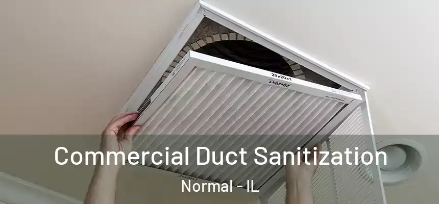 Commercial Duct Sanitization Normal - IL