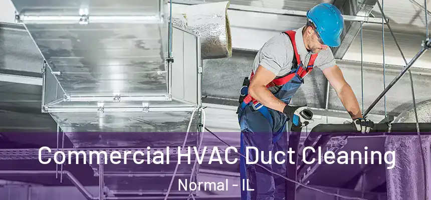  Commercial HVAC Duct Cleaning Normal - IL