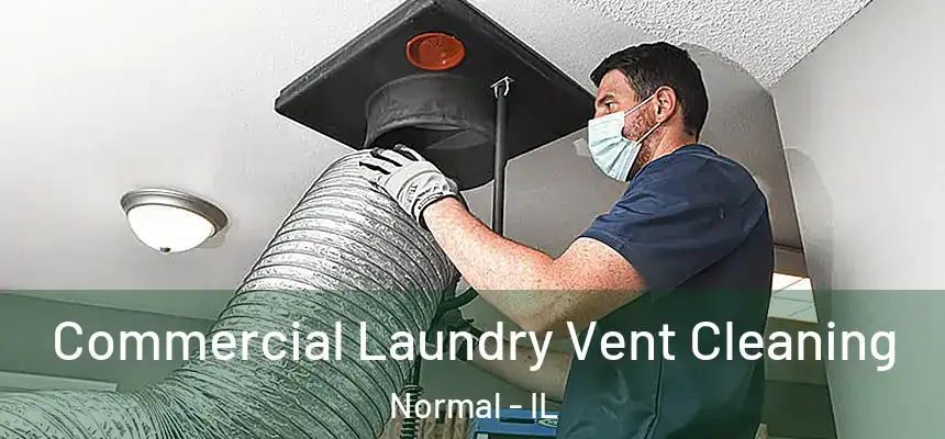 Commercial Laundry Vent Cleaning Normal - IL