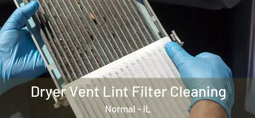 Dryer Vent Lint Filter Cleaning Normal - IL