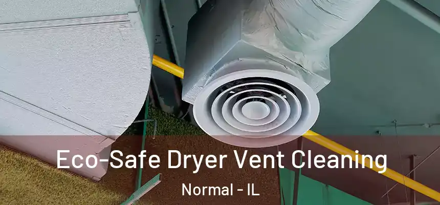  Eco-Safe Dryer Vent Cleaning Normal - IL