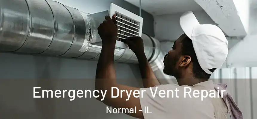  Emergency Dryer Vent Repair Normal - IL