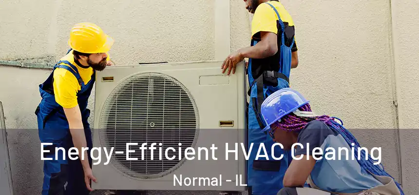 Energy-Efficient HVAC Cleaning Normal - IL