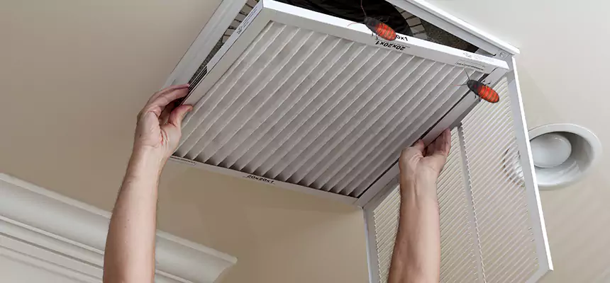 Preventive Cockroach-Proofing for Ducts in Normal