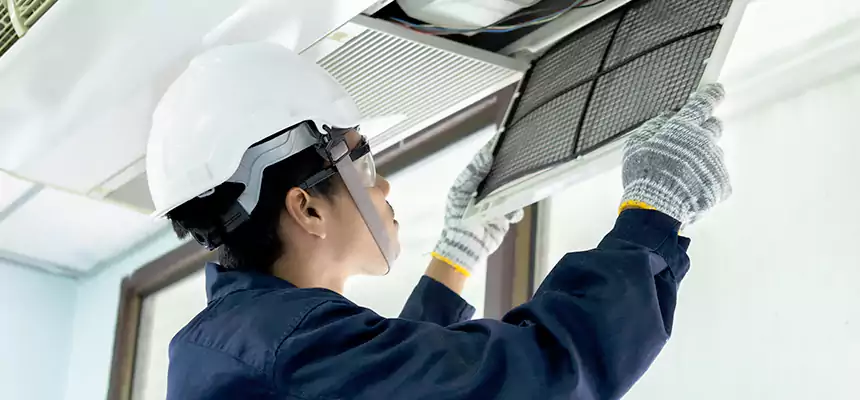 Our Mold & Mildew Removal from Air Ducts Services in Normal, IL