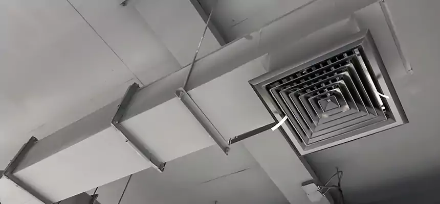 Our Rodent Droppings In Vents Services in Normal, IL