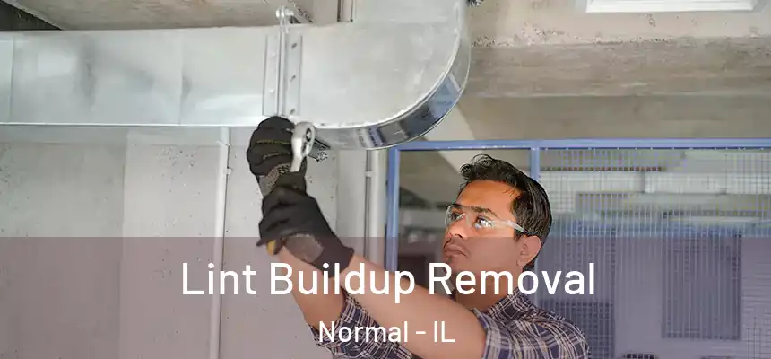 Lint Buildup Removal Normal - IL