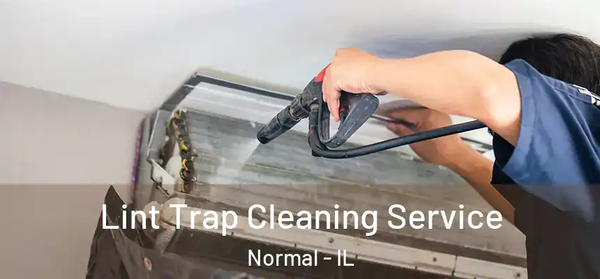 Lint Trap Cleaning Service Normal - IL