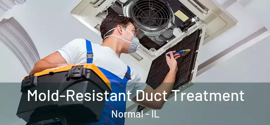 Mold-Resistant Duct Treatment Normal - IL