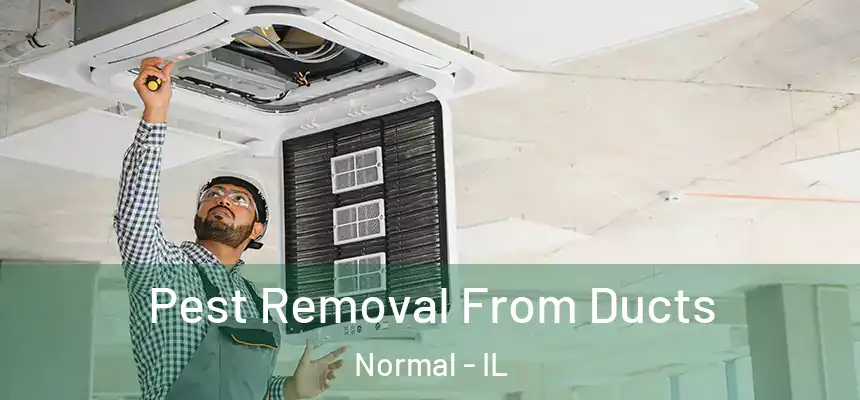  Pest Removal From Ducts Normal - IL