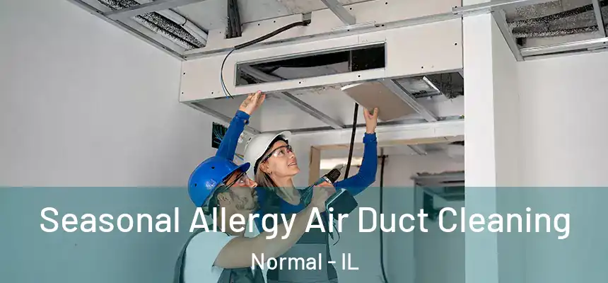 Seasonal Allergy Air Duct Cleaning Normal - IL