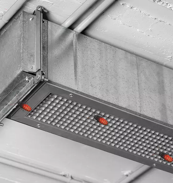Affordable Insect Removal from Air Ducts in Normal, IL