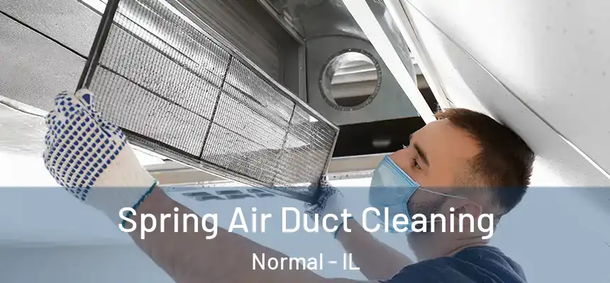 Spring Air Duct Cleaning Normal - IL