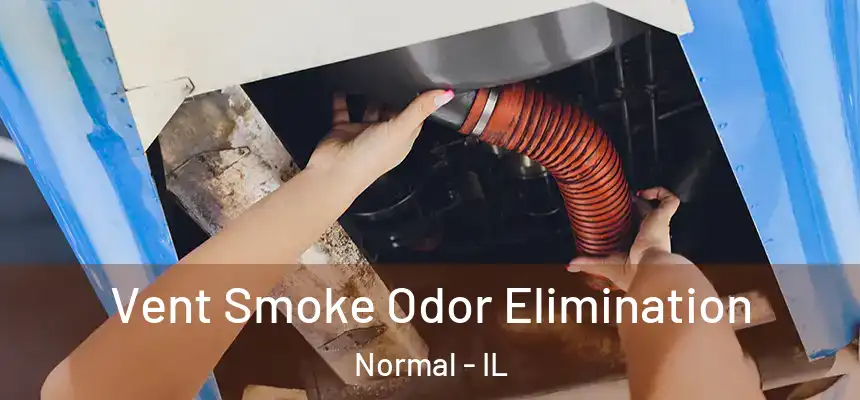Vent Smoke Odor Elimination Normal - IL