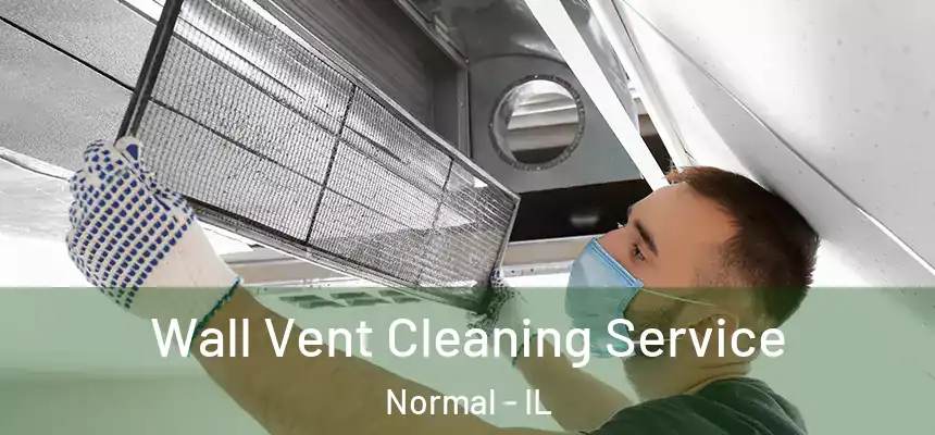 Wall Vent Cleaning Service Normal - IL